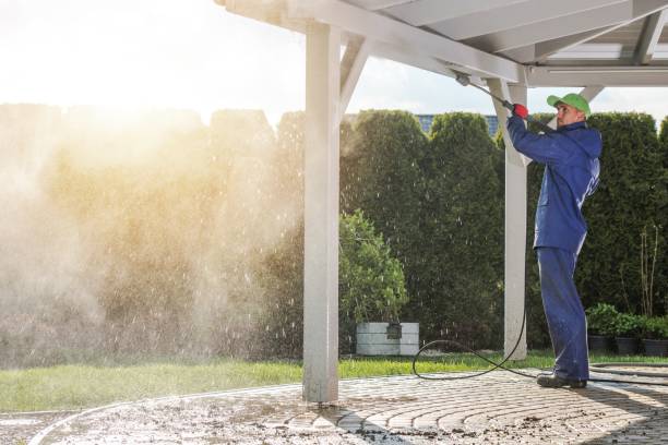 Best Winterizing Services  in Galatia, IL