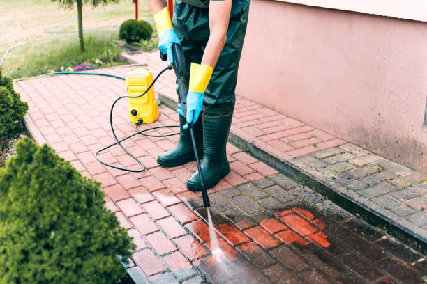 Best House Exterior Washing  in Galatia, IL